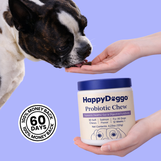 HappyDoggo Probiotic Chews