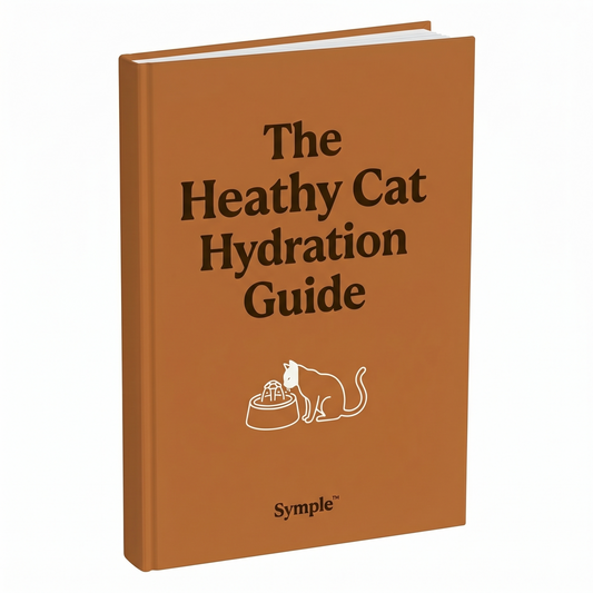 Cat Hydration Guide