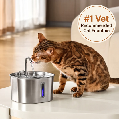 Symple Flow™ - 2.2L FOUNTAIN